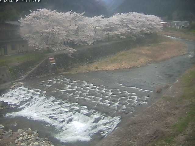 取得できませんでした