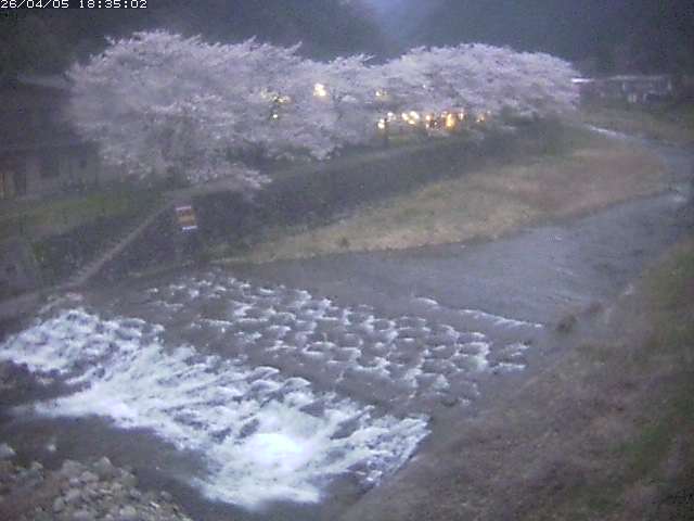 取得できませんでした