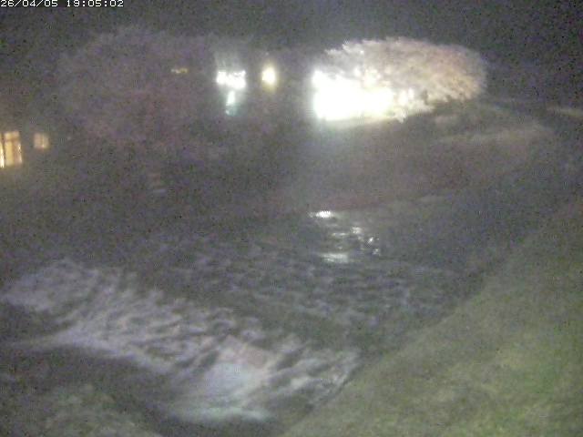 取得できませんでした