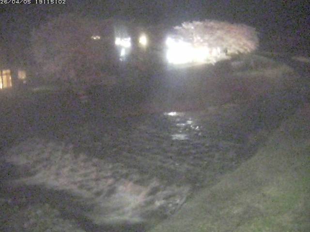 取得できませんでした