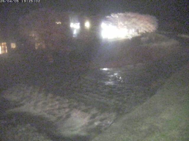 取得できませんでした