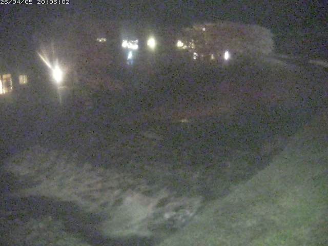 取得できませんでした