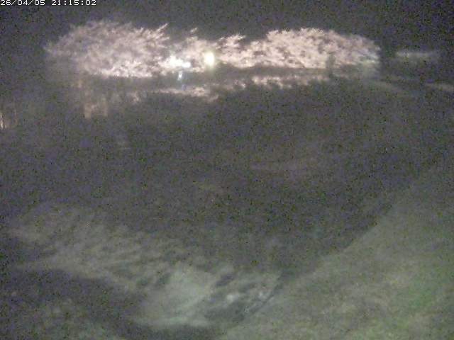 取得できませんでした