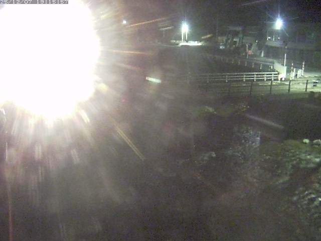 取得できませんでした