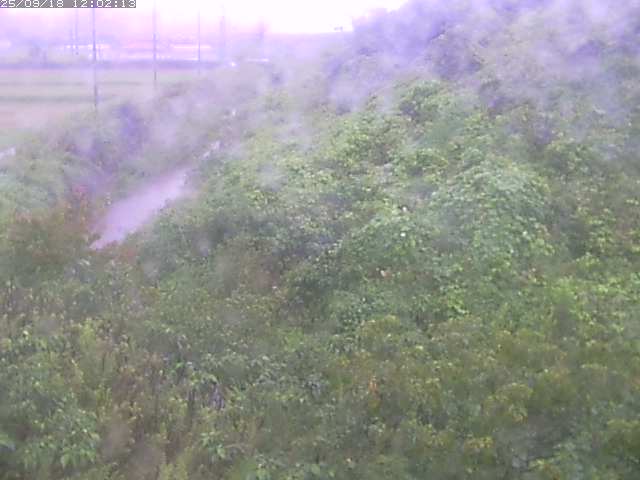 取得できませんでした