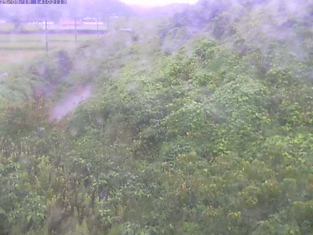 取得できませんでした
