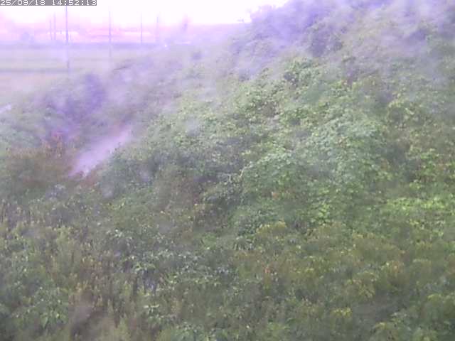取得できませんでした