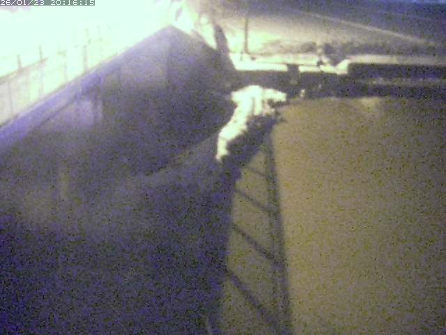 取得できませんでした