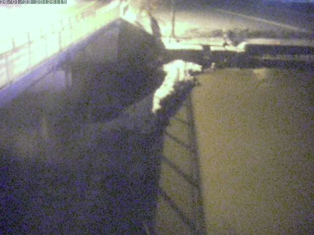 取得できませんでした