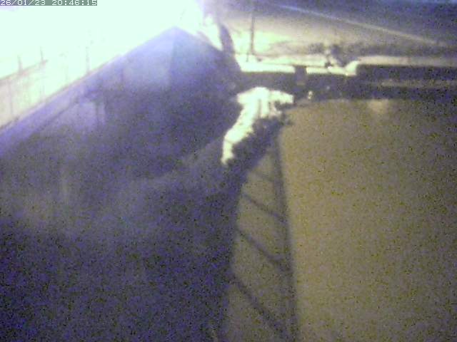 取得できませんでした