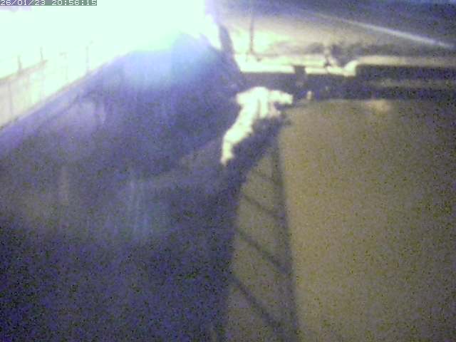 取得できませんでした