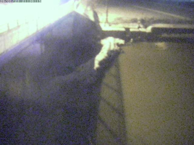 取得できませんでした