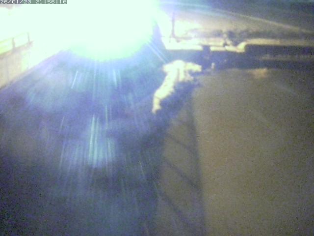 取得できませんでした