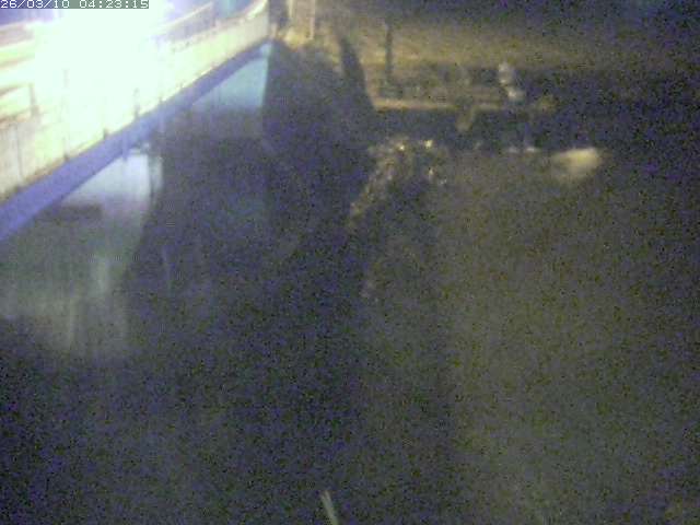 取得できませんでした