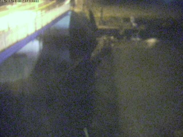 取得できませんでした