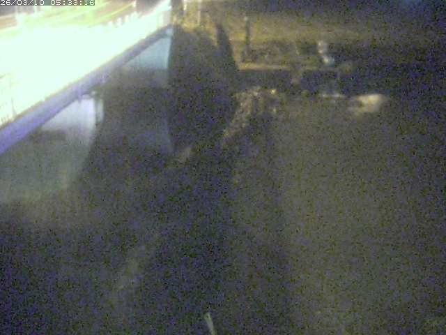 取得できませんでした