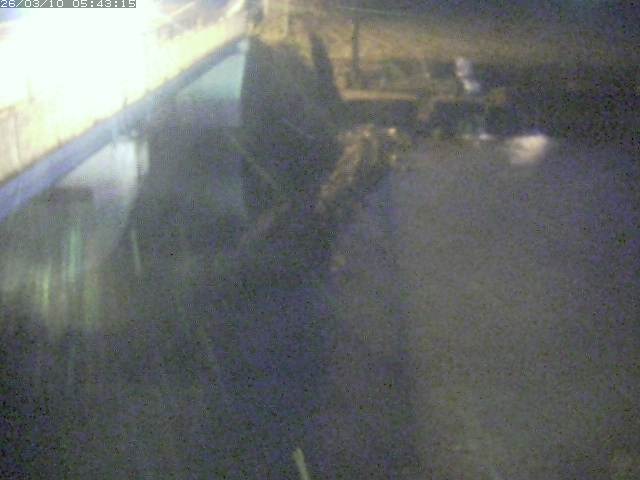 取得できませんでした