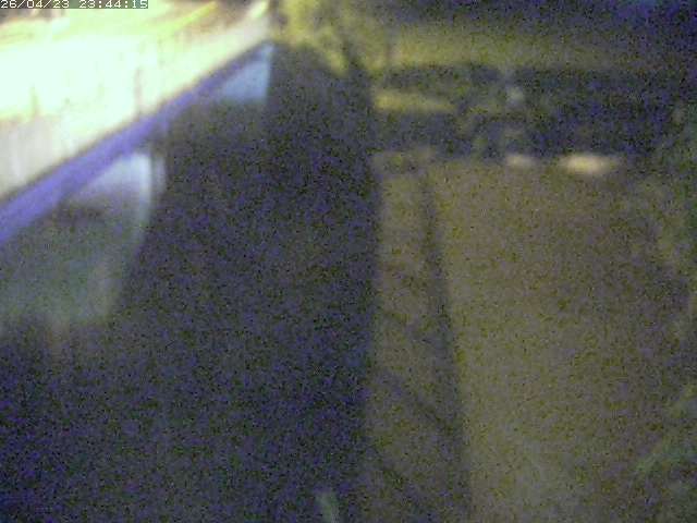 取得できませんでした