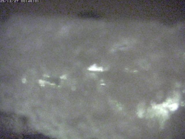 取得できませんでした