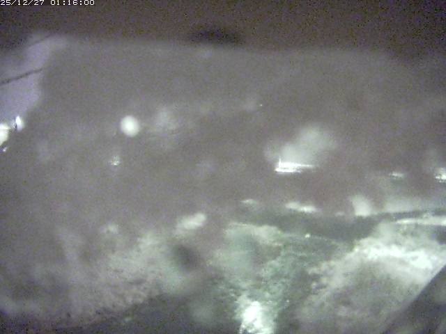 取得できませんでした