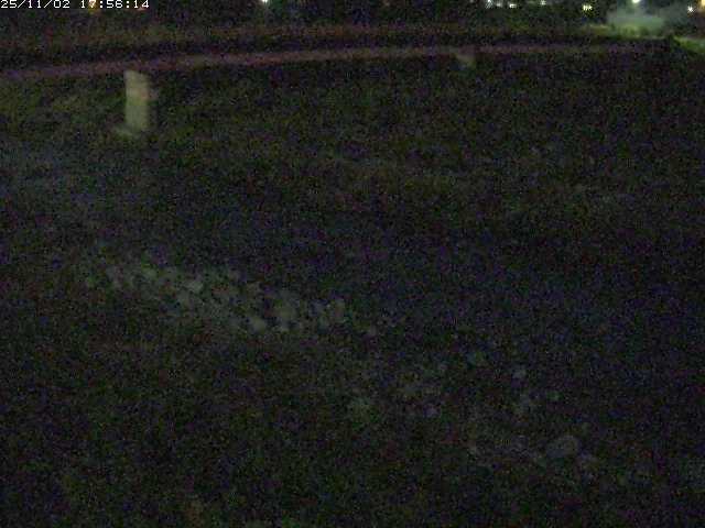 取得できませんでした