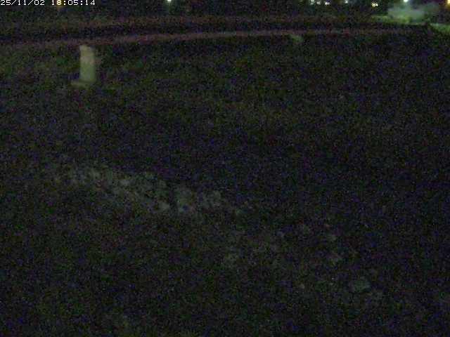 取得できませんでした