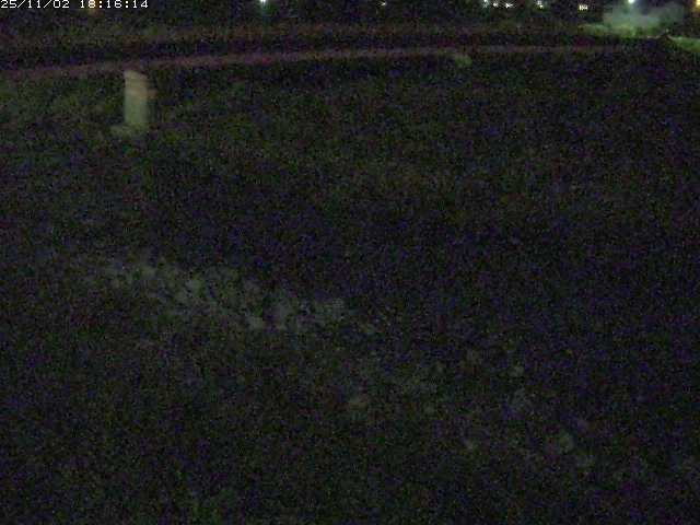 取得できませんでした