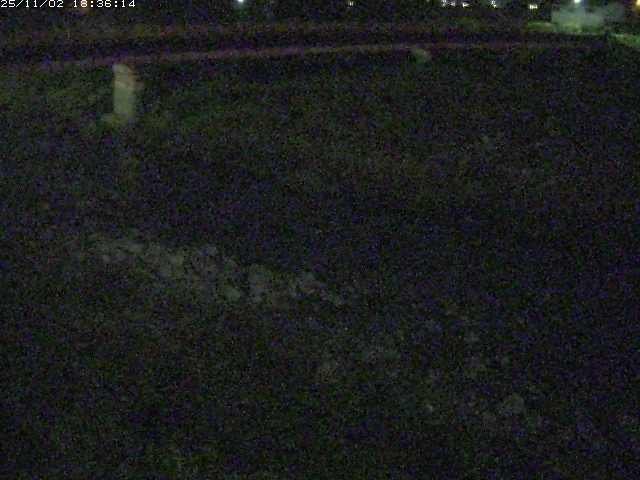 取得できませんでした