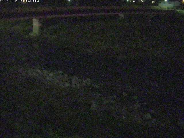 取得できませんでした