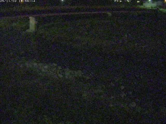 取得できませんでした