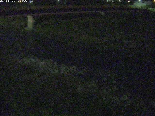 取得できませんでした