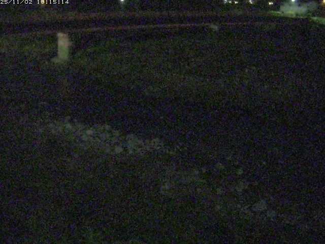 取得できませんでした