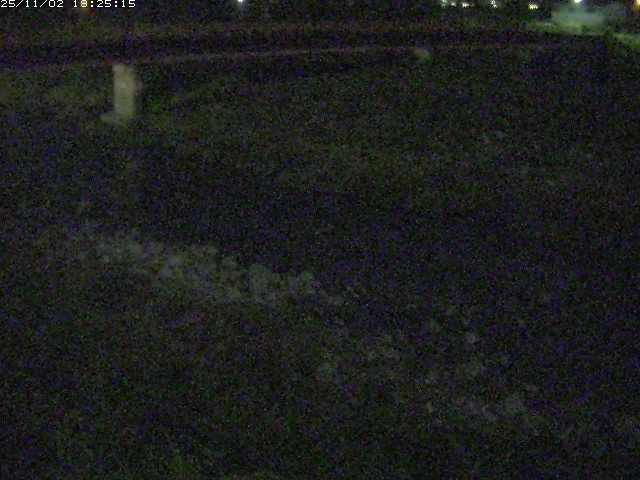 取得できませんでした