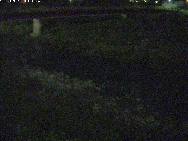 取得できませんでした