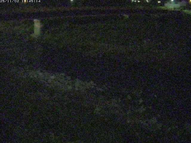 取得できませんでした