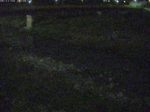 取得できませんでした