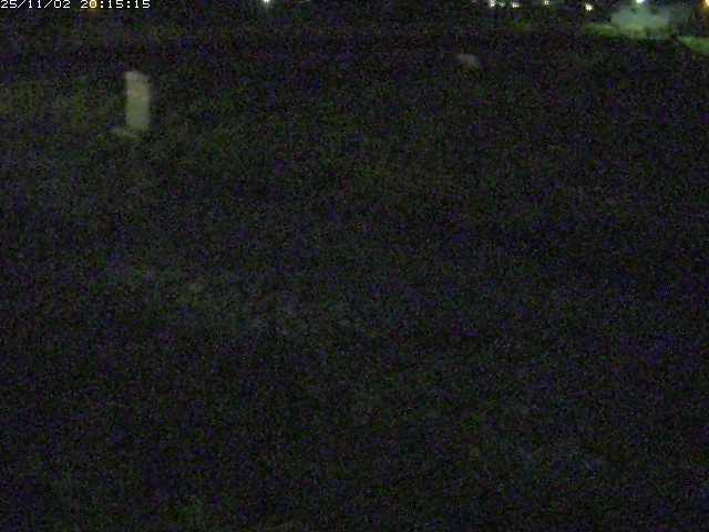 取得できませんでした