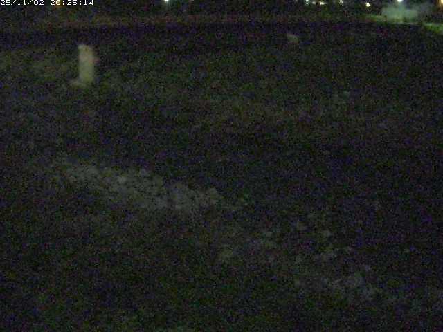 取得できませんでした