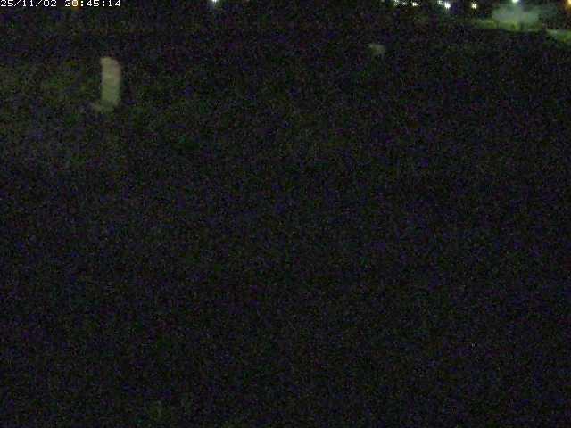 取得できませんでした