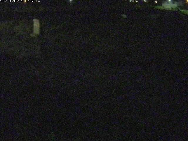 取得できませんでした