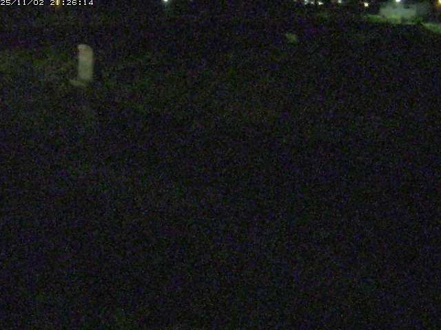 取得できませんでした