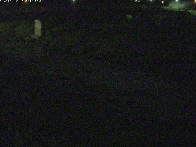 取得できませんでした