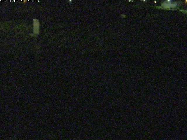 取得できませんでした