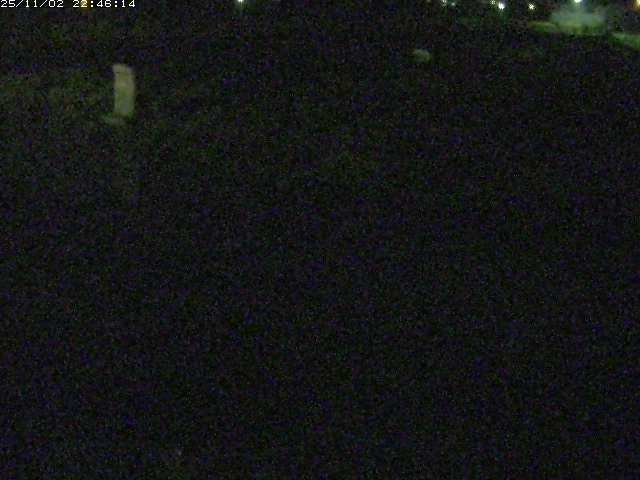 取得できませんでした