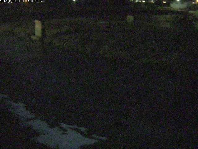 取得できませんでした