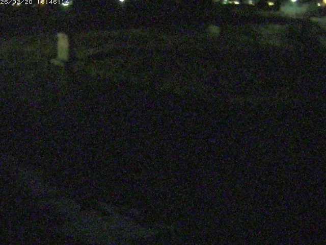 取得できませんでした