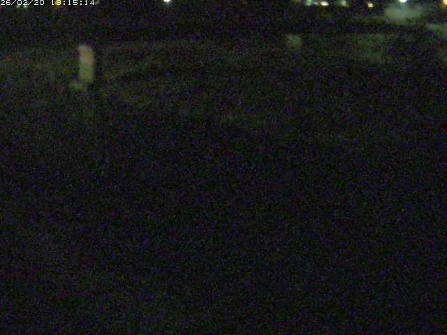 取得できませんでした