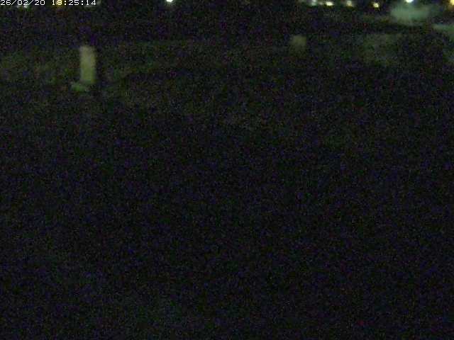 取得できませんでした