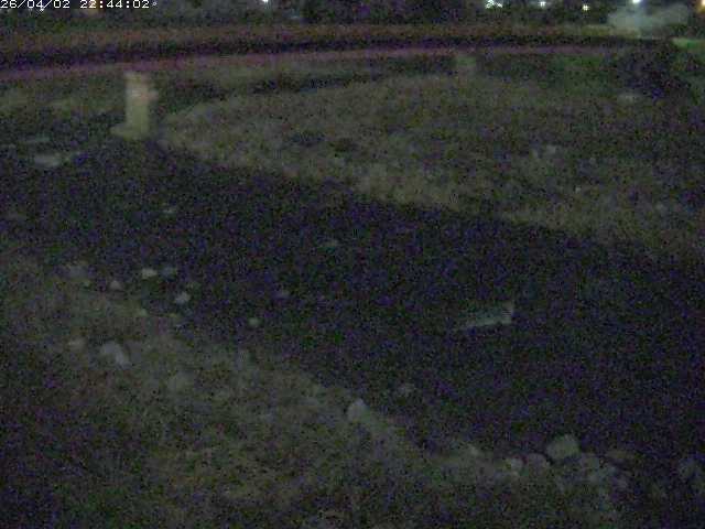 取得できませんでした