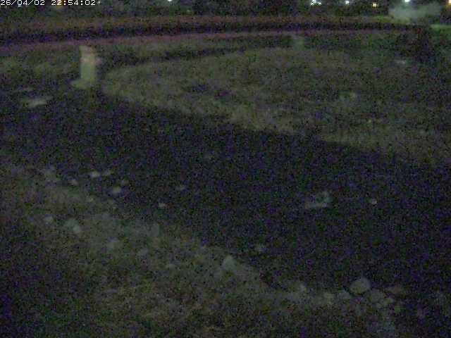 取得できませんでした